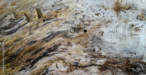 Texture of old wood plank surface background 