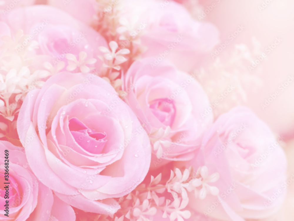 Blurred of Rose flowers blooming. in the pastel color style for background. Blurred of Rose flowers blooming. in the pastel color style for background.