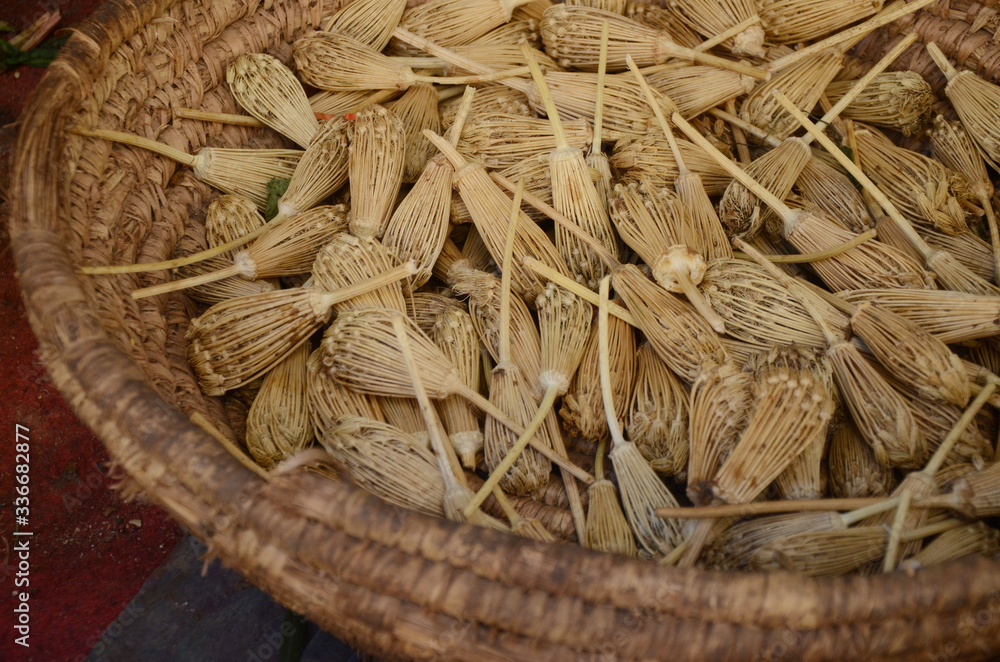 Berber toothpicks - the dried heads of fennel flowers (Ammi visnaga) , used in Morocco for cleaning teeth.