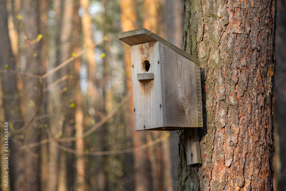Old wooden birdhouse hanging on a birch tree in the park