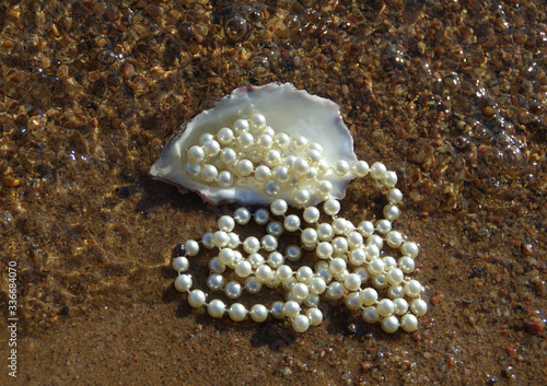 






White pearl necklace in oyster shell, floating in water.
 photo