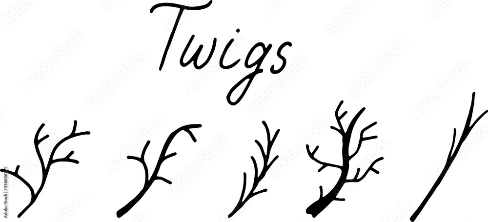 simple doodles twigs. dry old branches.