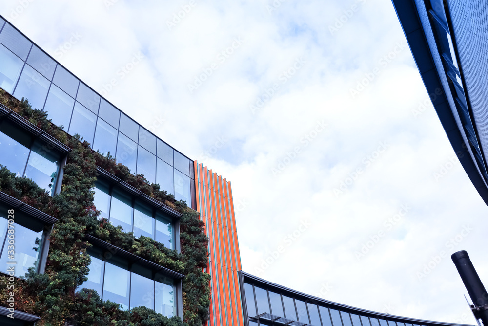 Parts of buildings in Europe . Walls of green plants. Blue sky and white clouds. Parts of buildings in Europe . Walls of green plants. Blue sky and white clouds.