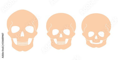 Skeleton1