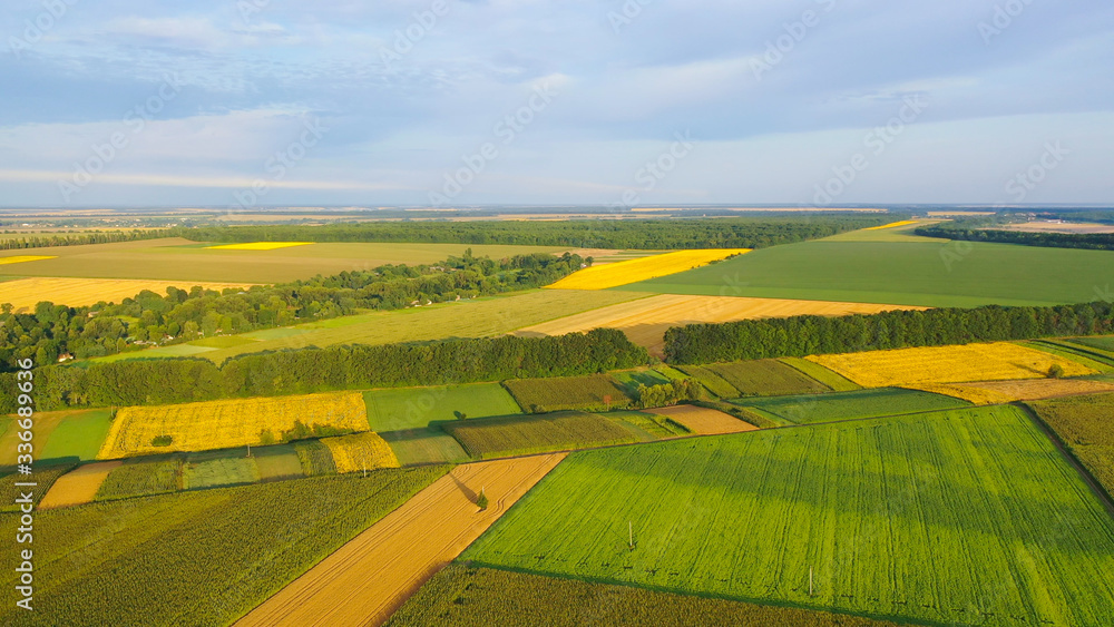Fototapeta premium Aerial view, in different colors, different agrarian fields to the horizon.