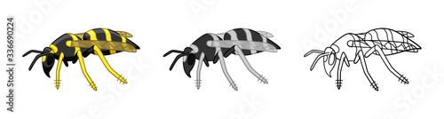 Side view wasps set in different styles isolated illustration on white background