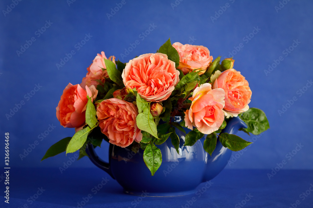 Bouquet of big orange rose flowers in a teapot, blue background or backdrop
