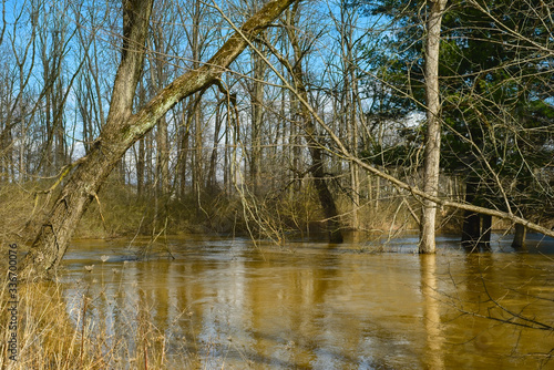 Overflowing creek in spring