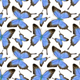 Watercolor seamless pattern with beautiful butterflies. Stock illustration of endless wallpaper.