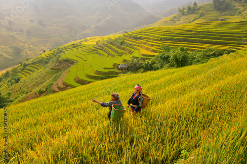 Mu Cang Chai is located in the Northern part of Vietnam  © saravut