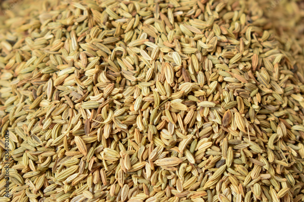 Dried fennel Seeds as an abstract background texture 