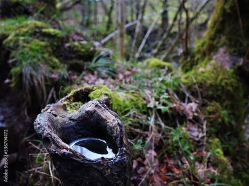 Tiny pools in large places, it's all a matter of perspective. 
