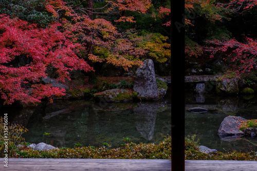 Autumn Leaves in Rengeji Temple in Kyoto, Japan photo