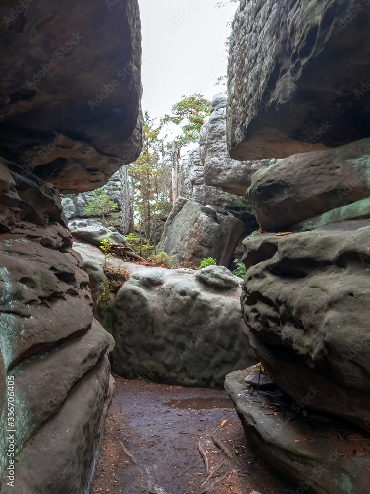 Obraz premium Errant Rocks (Błędne Skały) - a series of rocks formed by erosion, located in the Table Mountains National Park, Poland