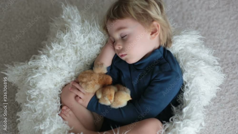 Cute blond toddler boy, sleeping with newborn chicks, hugging them tenderly Cute blond toddler boy, sleeping with newborn chicks, hugging them tenderly