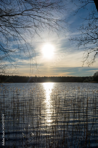Tableau sur toile Sun reflection on a small lake in the countryside, next to the forest on a beautiful spring day