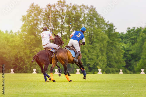Two horse polo players strikes the ball with a mallets. Two polo pony runs. Summer season, green cut lawn field. The forest is in the background. Copyspace