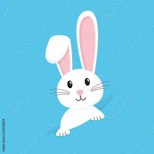 Easter rabbit, easter Bunny. Vector illustration.