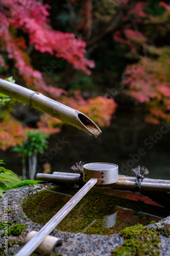 Autumn Leaves in Rengeji Temple in Kyoto, Japan