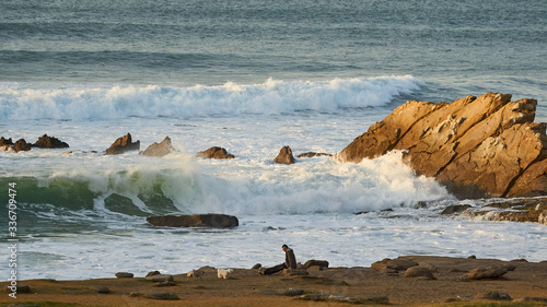 Man with dog in Azkorri beach (Getxo Basque Country) Waves and golden hour Sea