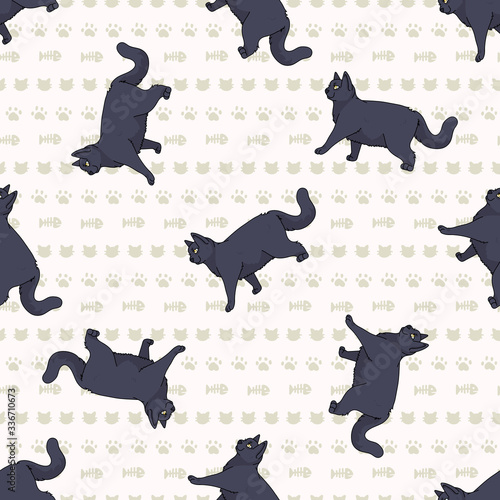 Cute cartoon British shorthair cat seamless vector pattern. Pedigree kitty breed domestic kitty background. Cat lover English purebred all over print. Feline EPS 10. 