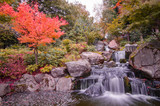 Beautiful Kyoto Gardens in Holland Park, Kensington London