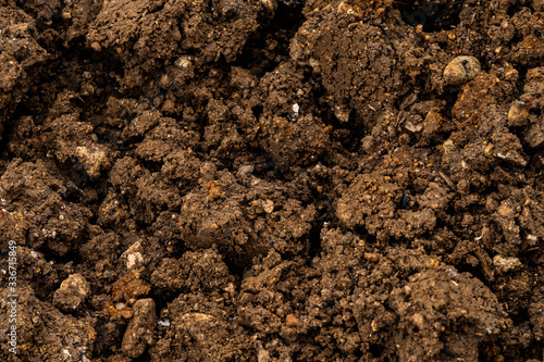 background, texture of freshly plowed earth of an Italian vegetable garden in spring