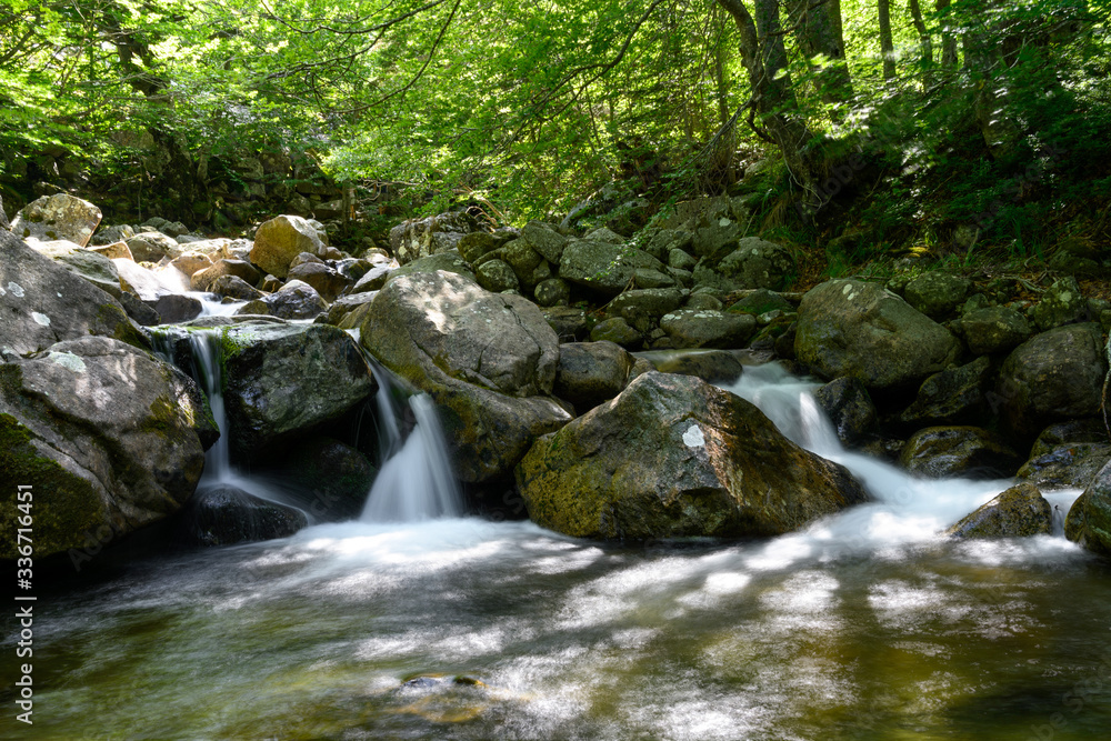 Le rio de salenques dans le val d'aran