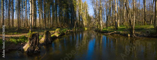 Panorama eines kleinen Flusses der durch den Wald fließt