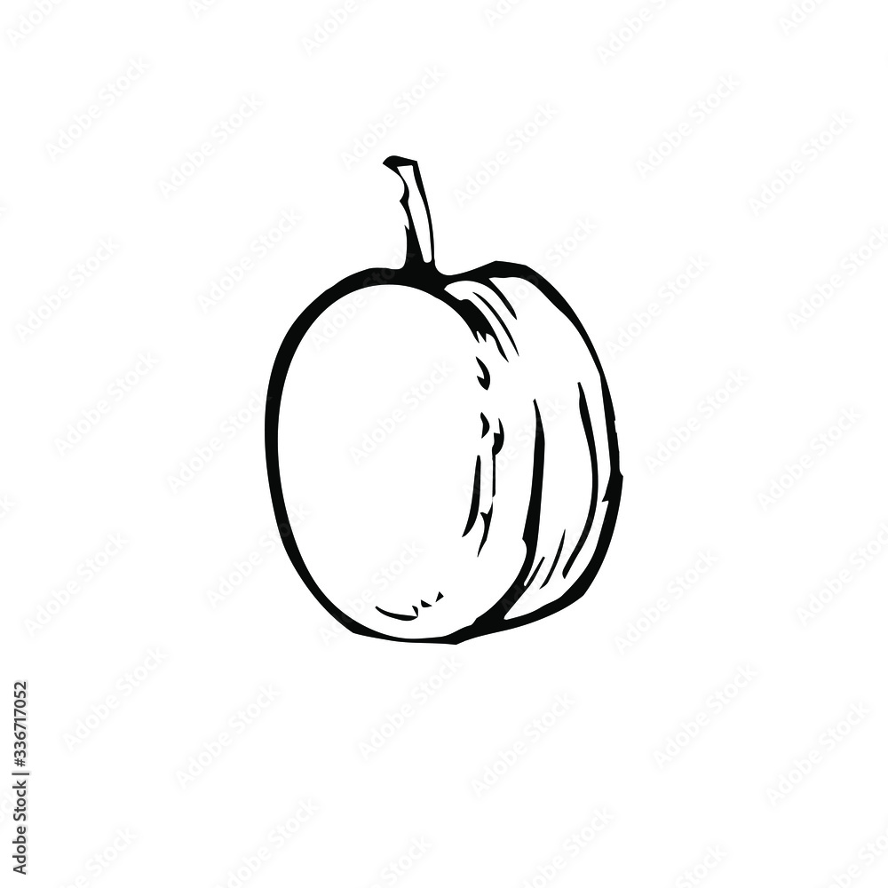 A plum, black and white hand drawn ink icon, outline sketch doodle
