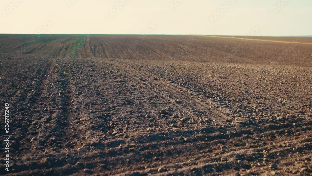 Desolate landscape of empty wheat field after winter season. Agricultural farmland in early spring. Countryside nature, harvesting concept. Desolate landscape of empty wheat field after winter season. Agricultural farmland in early spring. Countryside nature, harvesting concept.