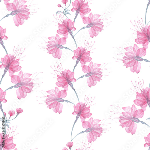 Seamless pattern transparent rose flowers and Apple blossoms on a white background  pink roses  x-ray flowers  pink Sakura flowers  lilac and blue stems and leaves  floral pattern for printing