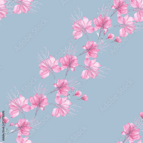 Seamless pattern transparent rose flowers and Apple blossoms on a white background, pink roses, x-ray flowers, pink Sakura flowers, lilac and blue stems and leaves, floral pattern for printing 