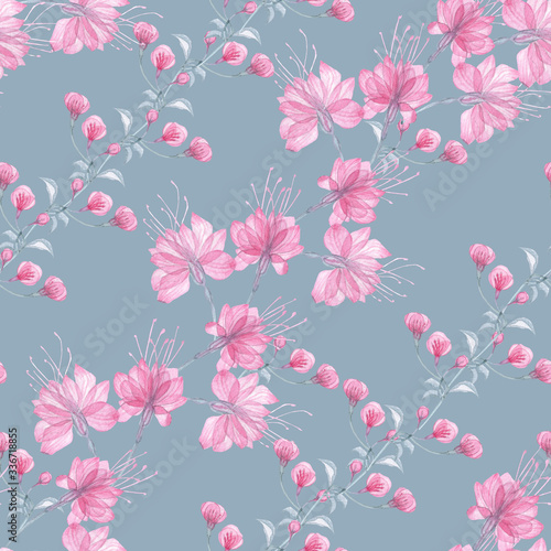 Seamless pattern transparent rose flowers and Apple blossoms on a white background, pink roses, x-ray flowers, pink Sakura flowers, lilac and blue stems and leaves, floral pattern for printing  © Дарья Лиходедова