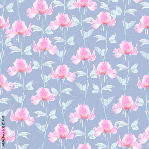 Seamless pattern transparent rose flowers and Apple blossoms on a white background  pink roses  x-ray flowers  pink Sakura flowers  lilac and blue stems and leaves  floral pattern for printing 