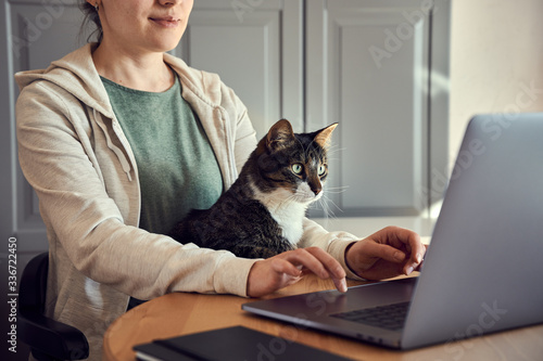 Young woman in green t-shirt and biege hoodie sitting with a cat on her lap at the wooden table at home with laptop and notebook, working or shopping online. Shot from the side with only arms and half