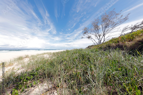 sand dunes and grass, Australia