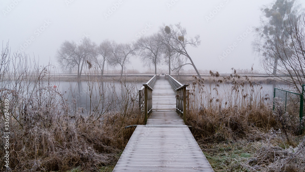 Fototapeta premium Wyspa na Zalewie Dojlidzkim. Mgła, przymrozek i szron, Dojlidy, Białystok, Podlasie, Polska