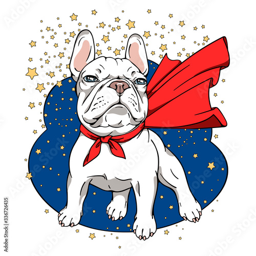Cartoon white french bulldog in a superhero cape.