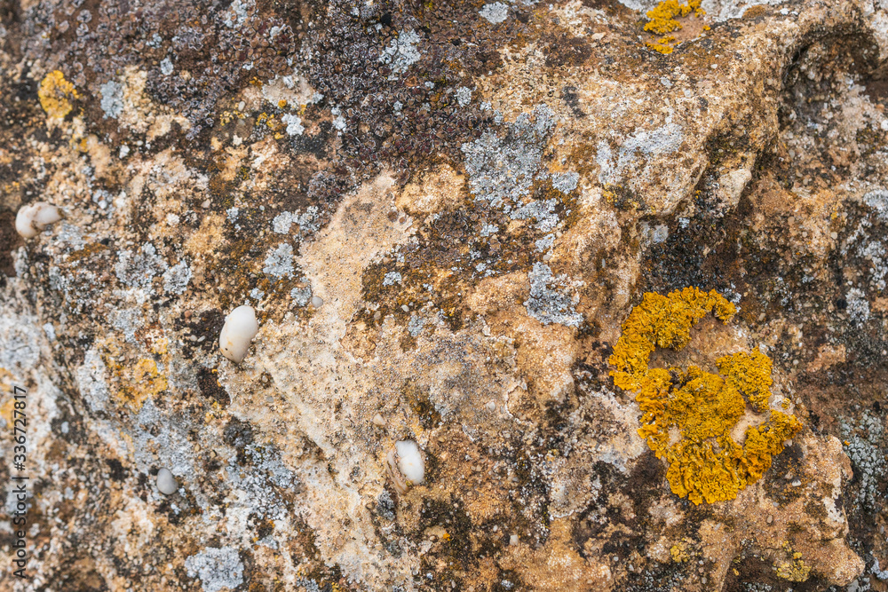 stone texture background for graphic design