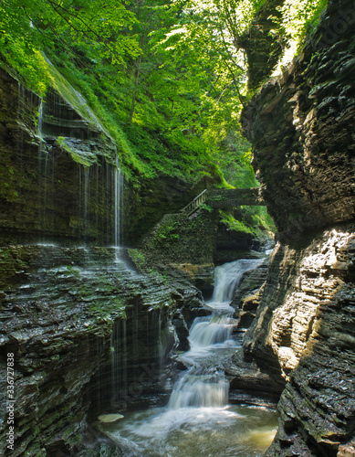 Watkins Glen