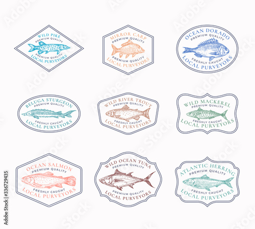 Fish Vintage Frame Badges or Logo Templates Set. Tuna, Herring, Mackerel, Sturgeon, etc. Fish Illustrations. Hand Drawn River and Ocean Fishes Sketch Emblems Bundle with Retro Typography.