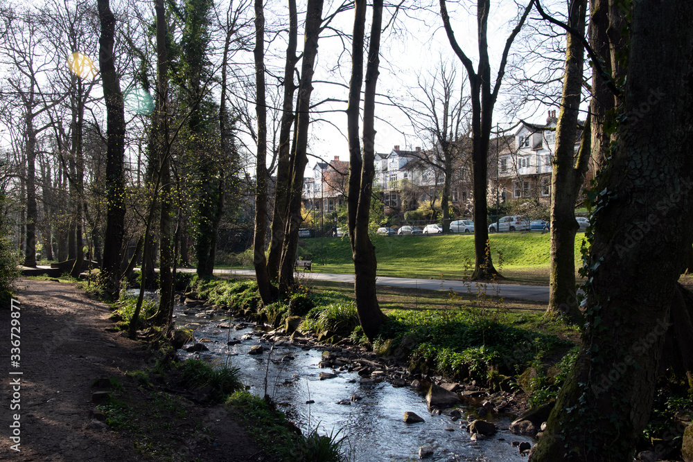 Obraz premium Early morning light reflecting on stream in park, UK