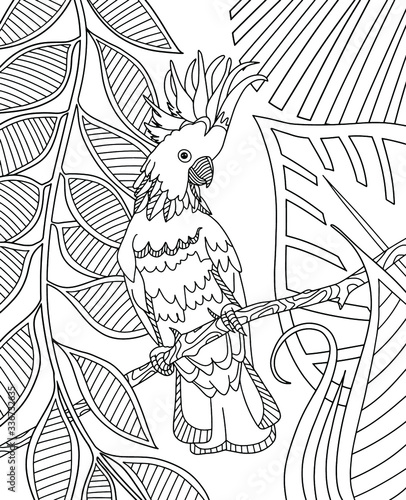 Cockatoo parrot sitting on a branch in tropical rainforest. Page of coloring book. Vector illustration.