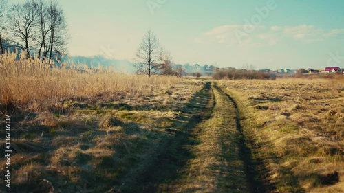 Walking on well-trodden path throguh wheat field on sunny day. Picturesque rural deserted landscape in early spring. Agriculture, countryside. photo