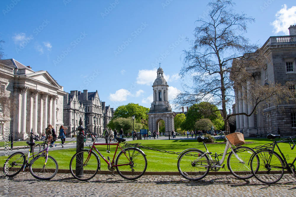 Fototapeta premium trinity college