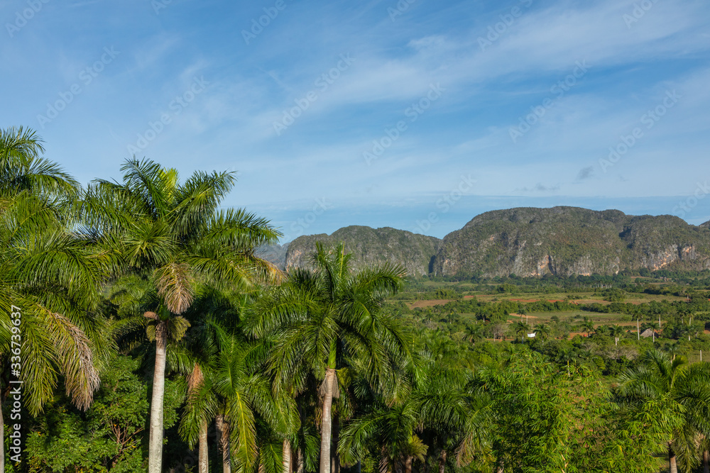 The Vinales Valley (Valle de Vinales), popular tourist destination. Tobacco plantation. Pinar del Rio, Cuba.