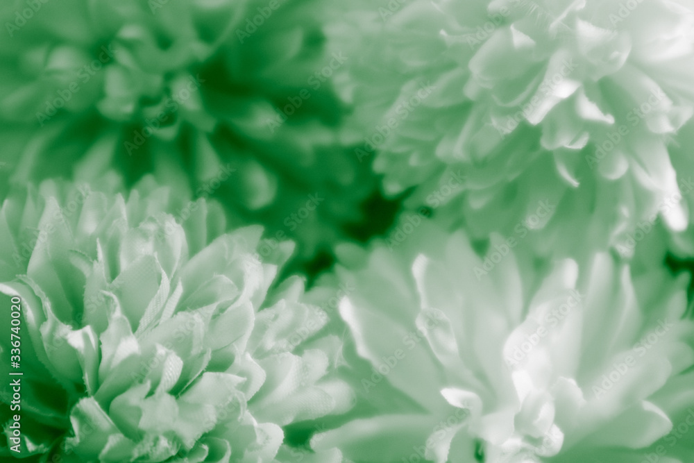 Beautiful abstract color white and green flowers on white background and light black and white flower frame and green leaves texture, green background, green banner happy Beautiful abstract color white and green flowers on white background and light black and white flower frame and green leaves texture, green background, green banner happy