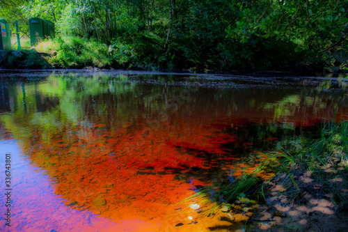 reflection in water