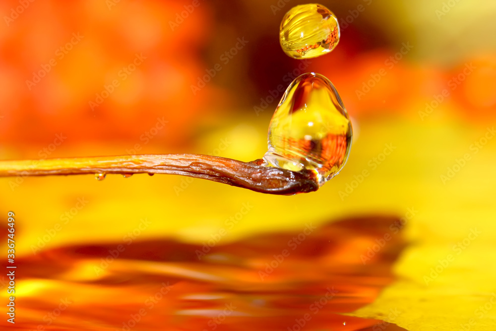 Drops of four seasons - autumn. Closeup water drops.